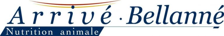 ARRIVE BELLANNE 768x124