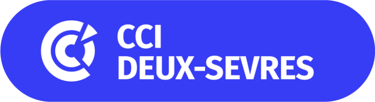 LOGO CCI DS Bleu web 768x209