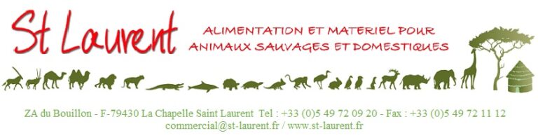 SAINT LAURENT SAS 768x197